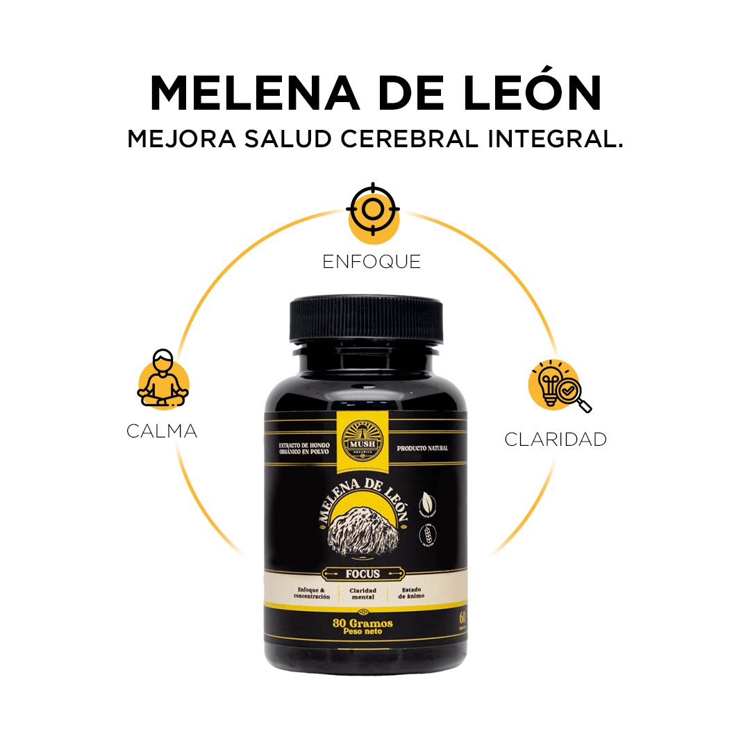 Melena de Leon En capsula de 100 mg