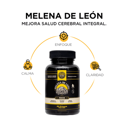 Melena de Leon En capsula de 100 mg